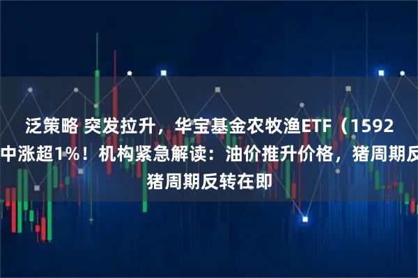 泛策略 突发拉升，华宝基金农牧渔ETF（159275）盘中涨超1%！机构紧急解读：油价推升价格，猪周期反转在即