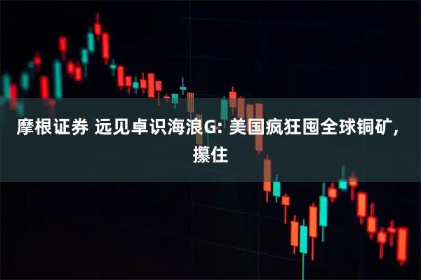 摩根证券 远见卓识海浪G: 美国疯狂囤全球铜矿, 攥住