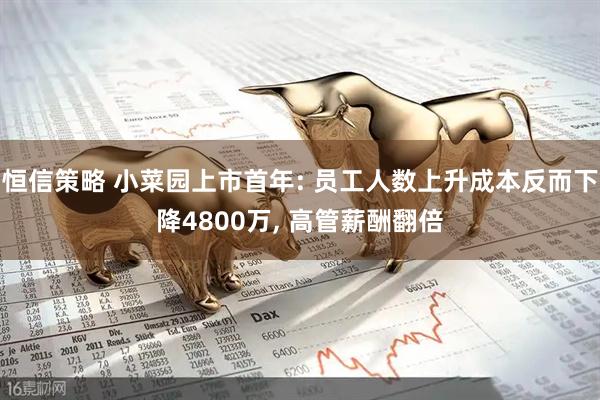 恒信策略 小菜园上市首年: 员工人数上升成本反而下降4800万, 高管薪酬翻倍