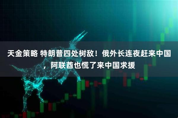 天金策略 特朗普四处树敌！俄外长连夜赶来中国，阿联酋也慌了来中国求援