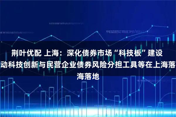 荆叶优配 上海：深化债券市场“科技板”建设 推动科技创新与民营企业债券风险分担工具等在上海落地